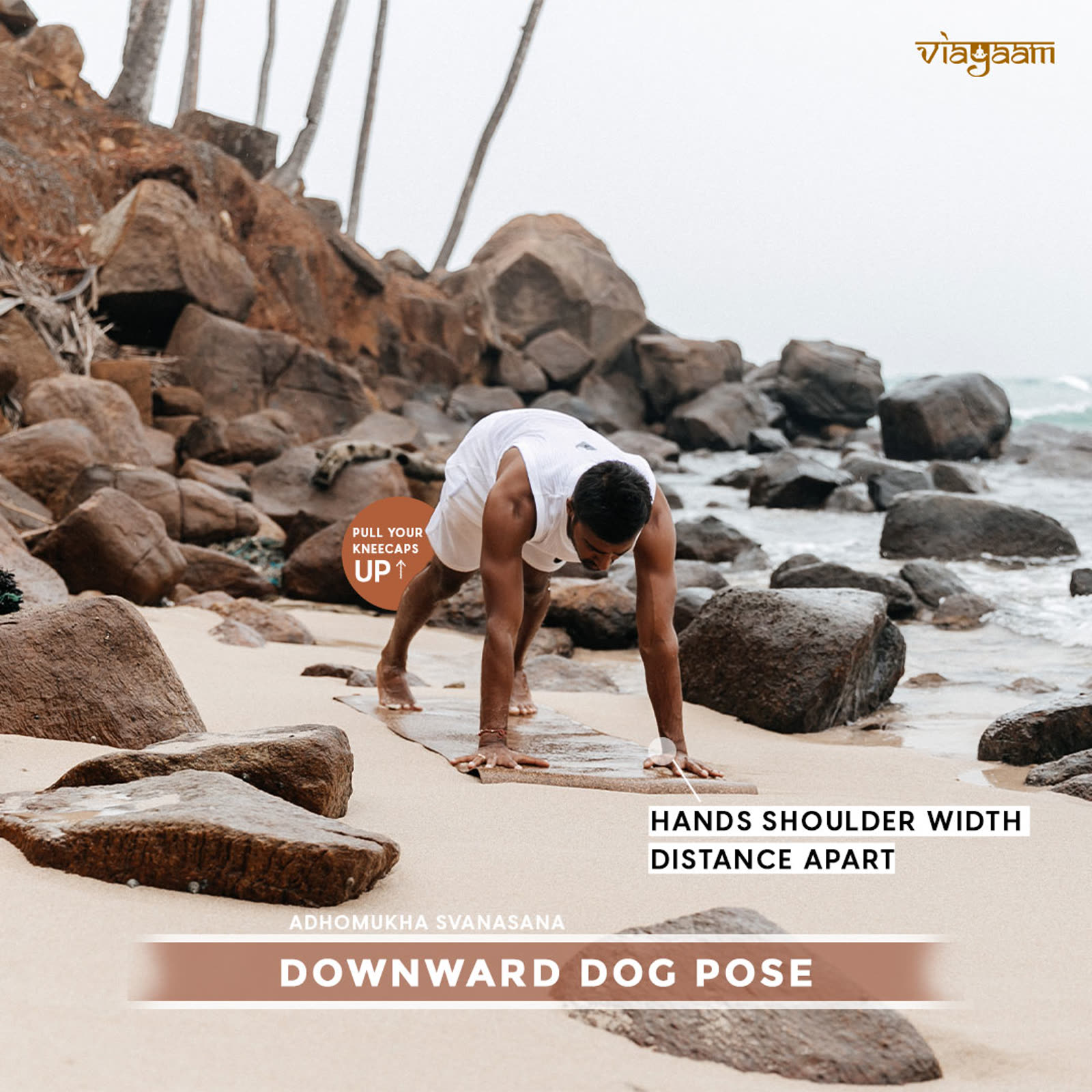 The teacher practising downward dog on coastal rocks