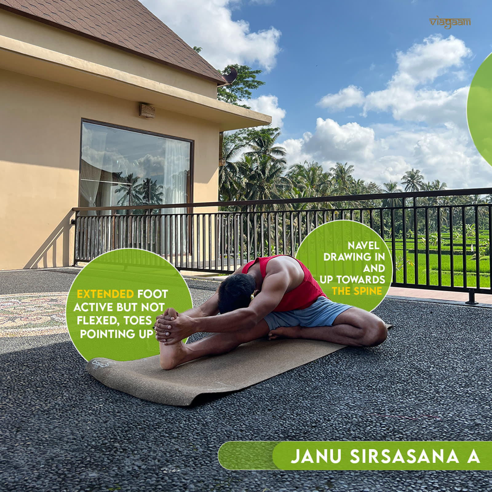 Janu sirsasana alignment breakdown