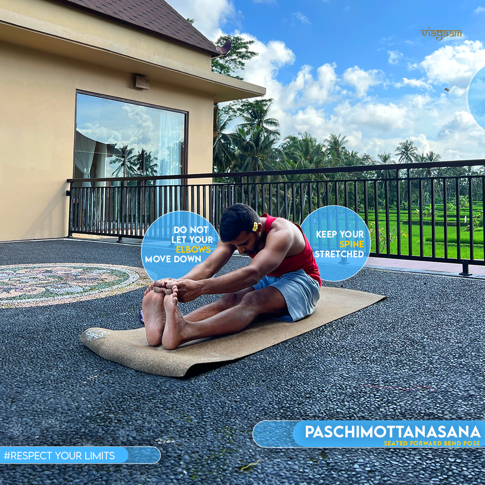 Assisted paschimottanasana adjustment